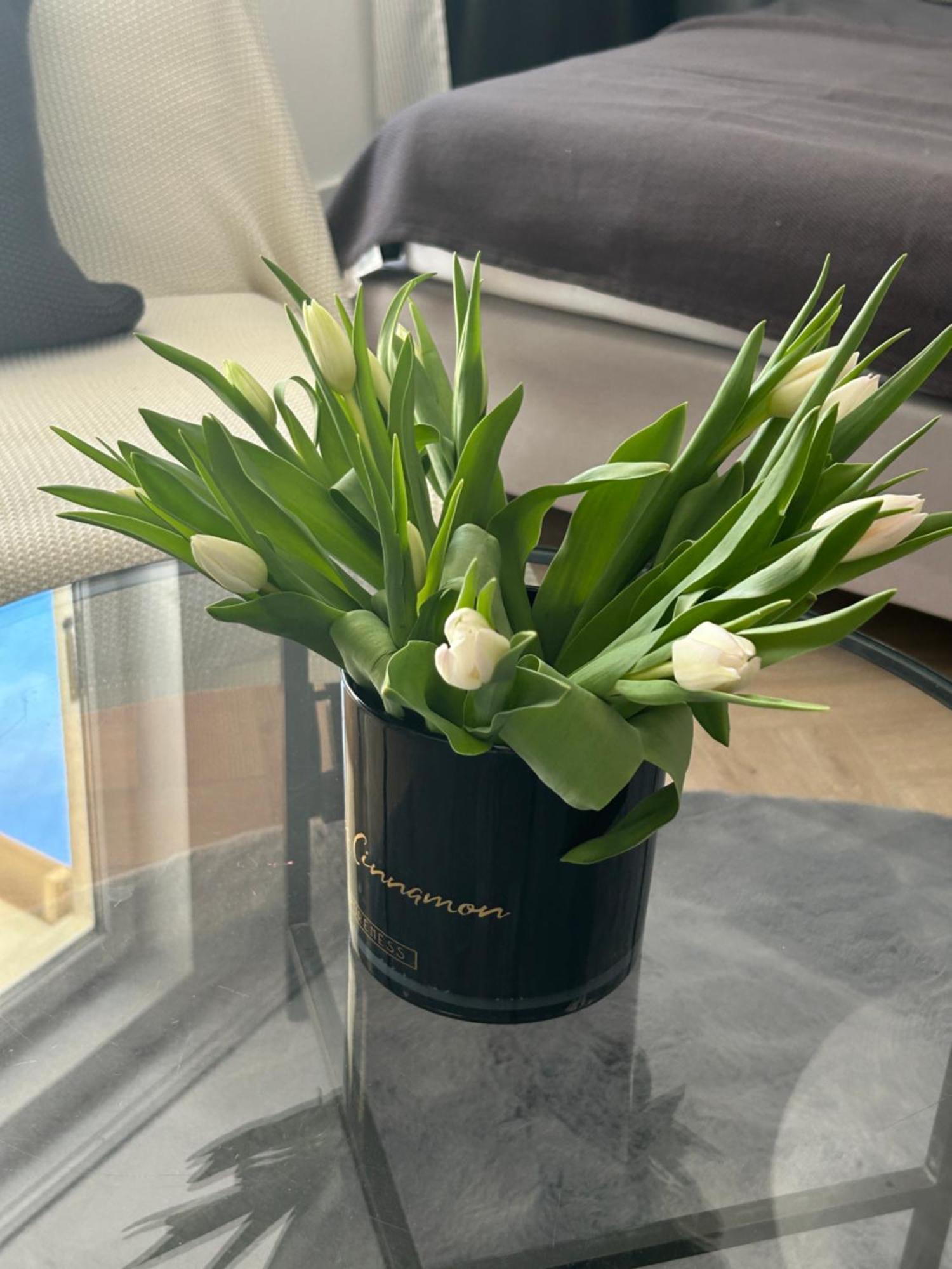 Apartament Eve Witawa กดิเนีย ภายนอก รูปภาพ